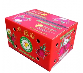 BAO BÌ CARTON