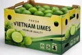 In Bao Bì Giấy Xu Hướng Thiết Kế Nâng Tầm Thương Hiệu-47